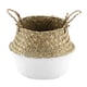 thumbnail image 1 of Organizador de armario plegable y cesto para macetas con diseño de algas marinas florales, color blanco natural, 1 of 8