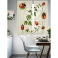 thumbnail image 5 of Ladybugs Eucalyptus Sheer Curtains 72 Inches Long 2 Panels Set, Window Sheer Curtains for Living Room/Bedroom, Spring Botanical Leaves Green Light Filtering Rod Pocket Curtain 52''x72''x2, 5 of 8
