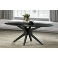 thumbnail image 2 of Inmod Starburst Oval Coffee Table, 2 of 5