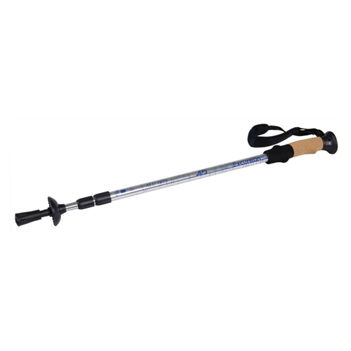 alps mountaineering journey trekking pole