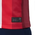 thumbnail image 6 of Youth Nike  Red Norway National Team 2024 Home Replica Blank Jersey, 6 of 6