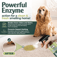thumbnail image 3 of Pet Stain & Odor Eliminator Spray for Carpet, Cleaning Soft and Hard Surfaces, 3 of 8