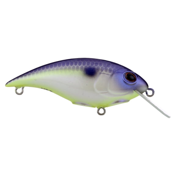 Berkley Shallow Money Badger Fishing Crankbait, 2.1 in, Hybrid Baitfish-Crayfish