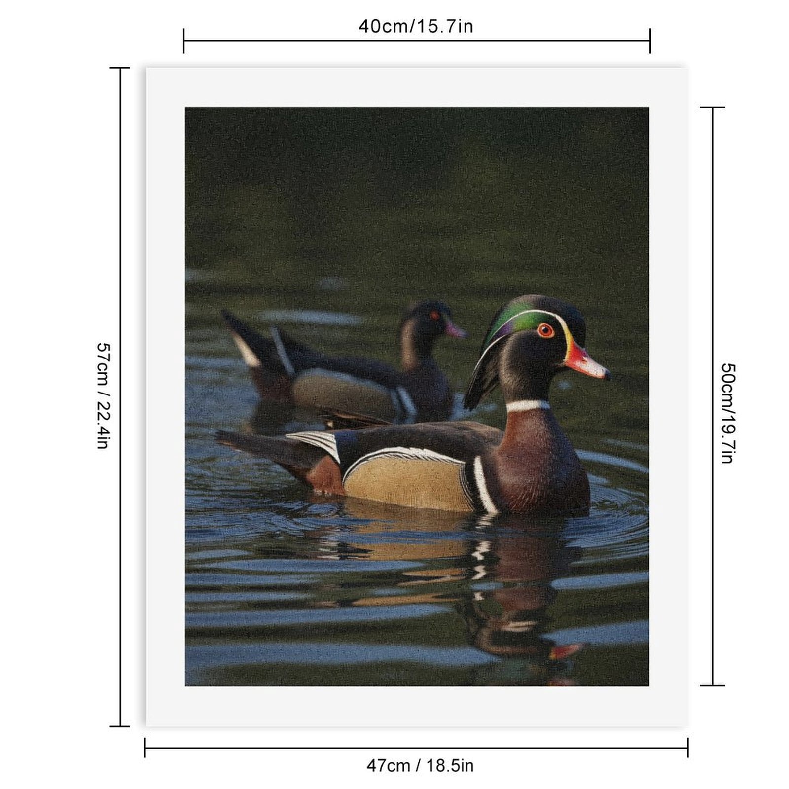 Paint by Numbers Kit for Adults, Colorful Ducks Swimming Lake Paint by Numbers, Easy Paint by Numbers Kit for Adults Beginner, DIY Adult Paint by Number Kits on Canvas, Home Decor
