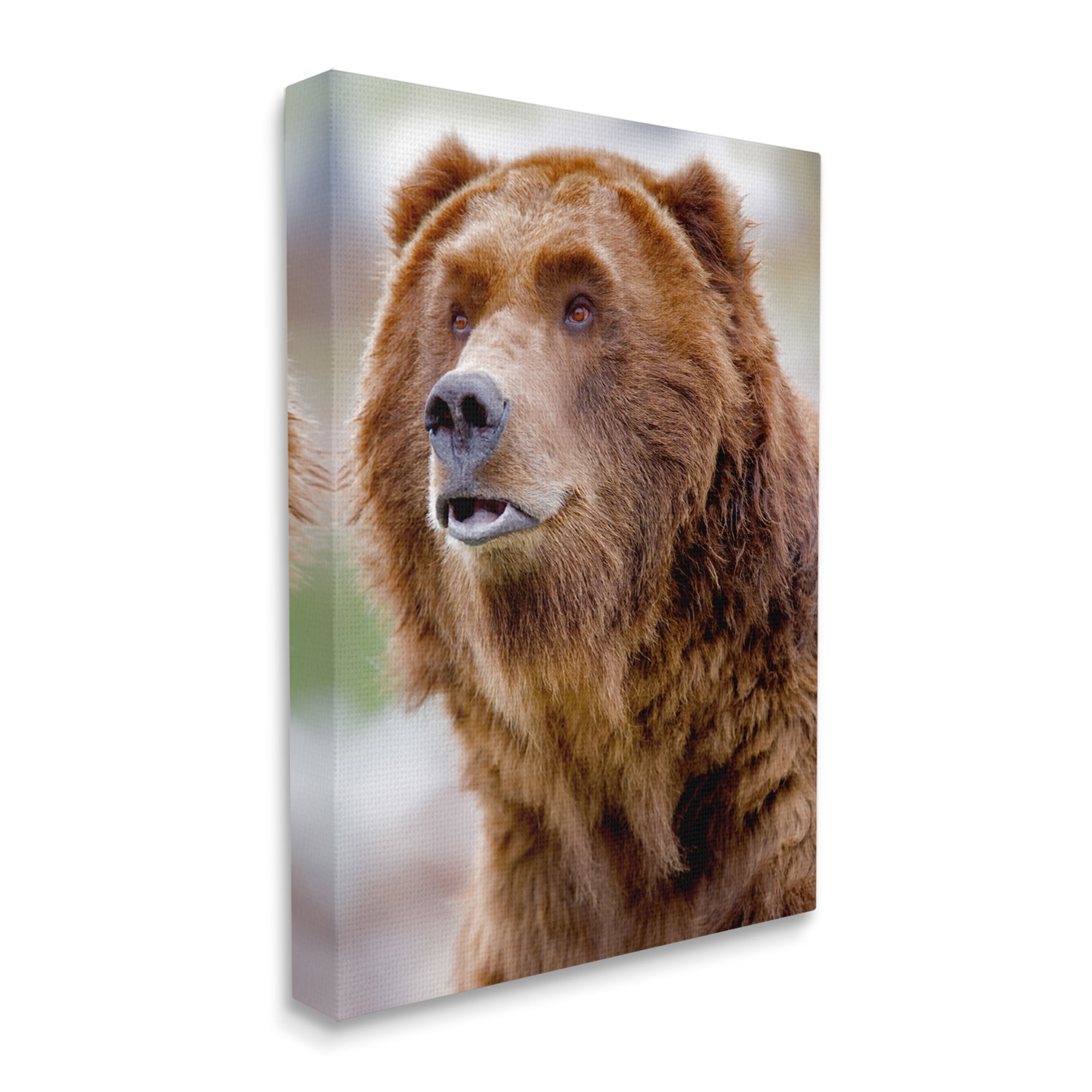 Stupell Industries Brown Bear Portrait Animals & Insects Photography Gallery Wrapped Canvas Print Wall Art, 36 x 48