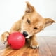 thumbnail image 2 of Juguete Para Perro Kong Pelota Para Premios Grande Kong Pelotas, 2 of 2