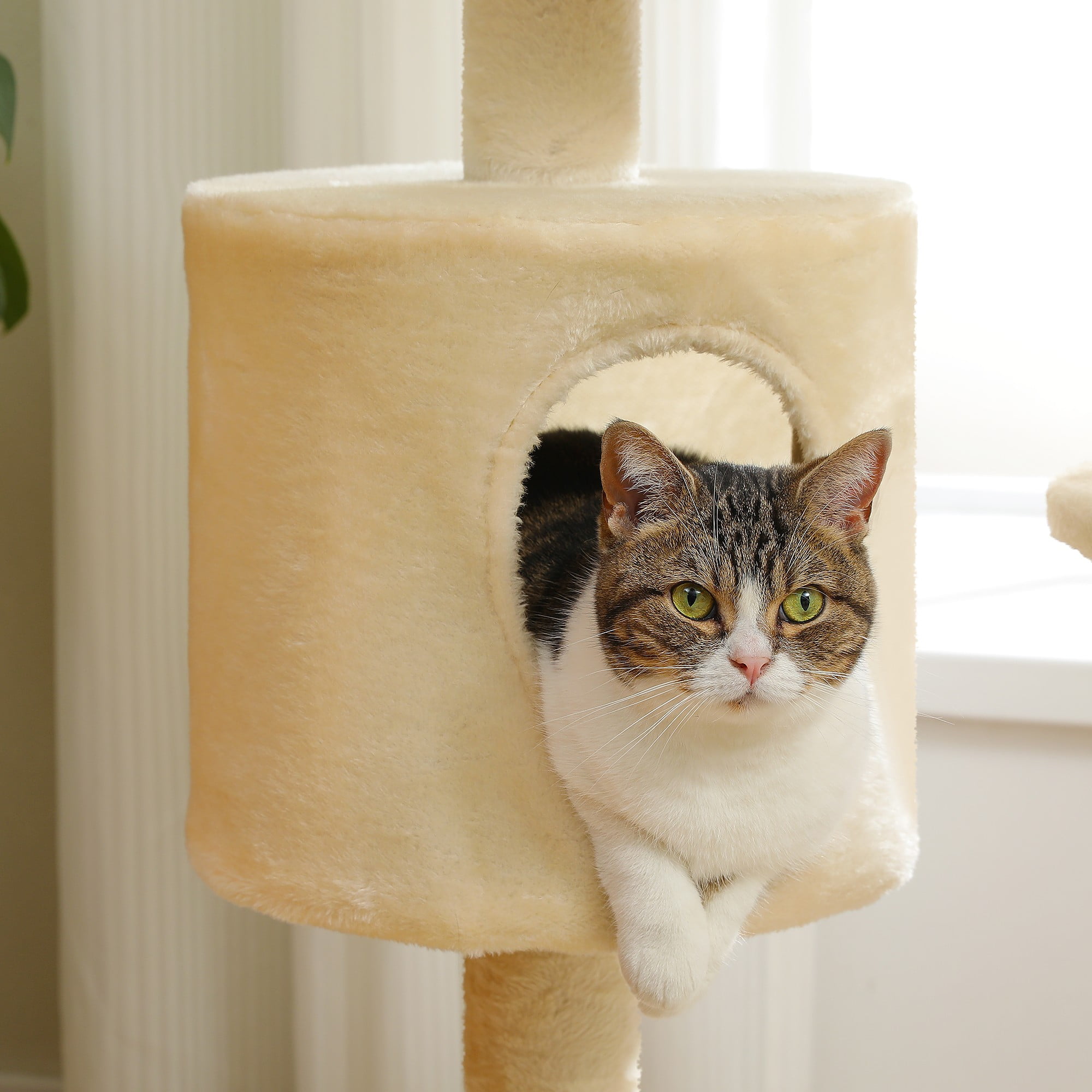 resenkos 51" Cat Tree Tower for Indoor Cats with Scratching Board, 2 Perches, Multi-Level Cat Condo Furniture for Small and Medium Kittens, Beige