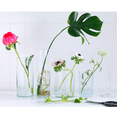 thumbnail image 2 of Vase Cylindrique, Lot de 3, Verre Clair, 2 of 4