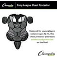 thumbnail image 5 of Champion Sports 15" Lightweight Multi-layered Pony League Chest Protector - Removable Shoulder Cap and Tail - Chest Protector - Ages: 12-16, 5 of 6