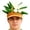 F, variant on Soccer Fan National Flag Costume Hat Vibrant Multi-Point Headdress for Match Day and Carnivals
