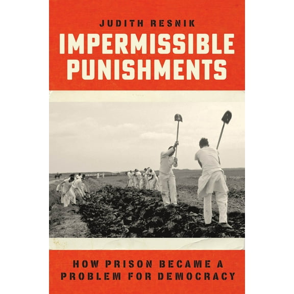 Impermissible Punishments: How Prison Became a Problem for Democracy, (Hardcover)
