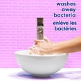 thumbnail image 2 of Softsoap Lavender and Shea Moisturizing Liquid Hand Soap, 332 ml Bottle, 2 of 4