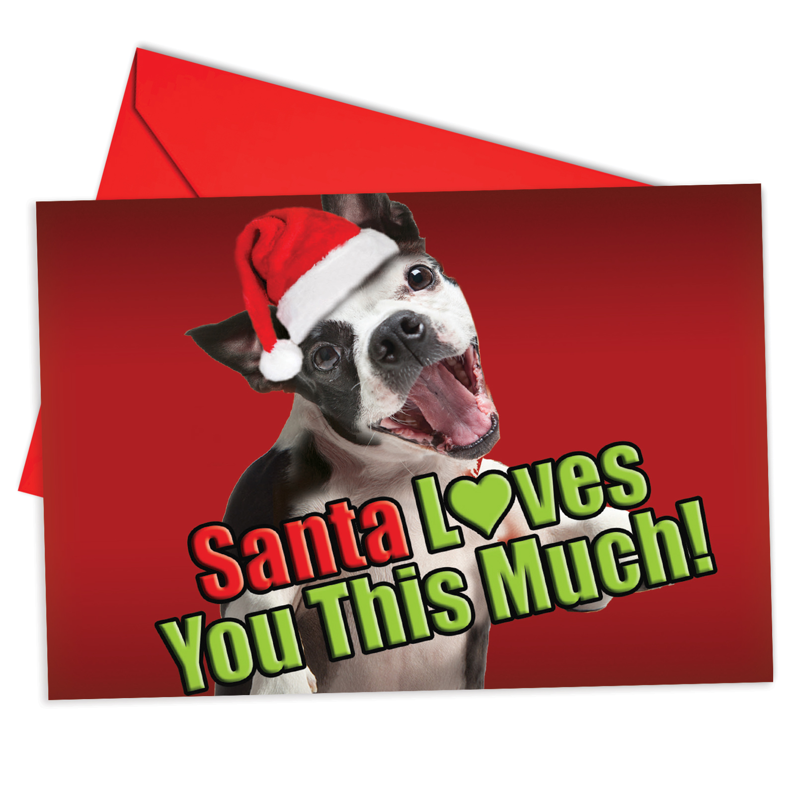 B6611AXSG Santa Loves You This Much Dog Christmas Cards' Box Set of 12