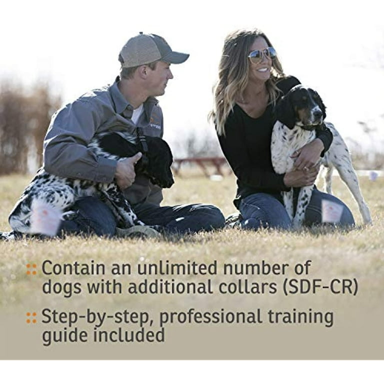 Innotck Sport Dog Contain Train System Walmart