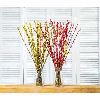 Pianpianzi Pussy Willows for Floor Vase Dried Roses with Stems Hanging  Dried Flower Indoor Artificial Daisy Decor Garden Plastic Wildflowers  Outside