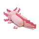 thumbnail image 3 of Axolotl Peluche Juguetes Kawaii Muñecas de animales de peluche Soft Game Peluche Regalo de cumpleaños para niños Niños Regalo de Navidad Petmoko 113, 3 of 5