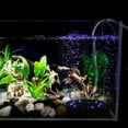 thumbnail image 5 of Base de Bol à Poisson à LED Colorée, Lumière à Bulles d'Air pour Aquarium, Disque à Bulles LED Multicolore pour Aquarium, Forme Ronde, Petit, 5 of 5