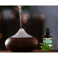 thumbnail image 6 of Eucalyptus Essential Oil 10 mL (1/3 Oz) Pack of 3 for Aromatherapy - Premium Grade - Made with 100% Pure Therapeutic Grade Essential Oils by Sponix Set of 3, 6 of 10