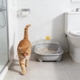 thumbnail image 4 of Dvkptbk Cat Litter Box with High Sides, Splashs Proof Designs, Open Top Cat Litter Pan Include Scoop Easy Cleaning, Gray, 4 of 6