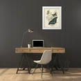 thumbnail image 3 of Vision Studio 15x18 White Modern Wood Framed Museum Art Print Titled - Butterflies and Ferns II, 3 of 4