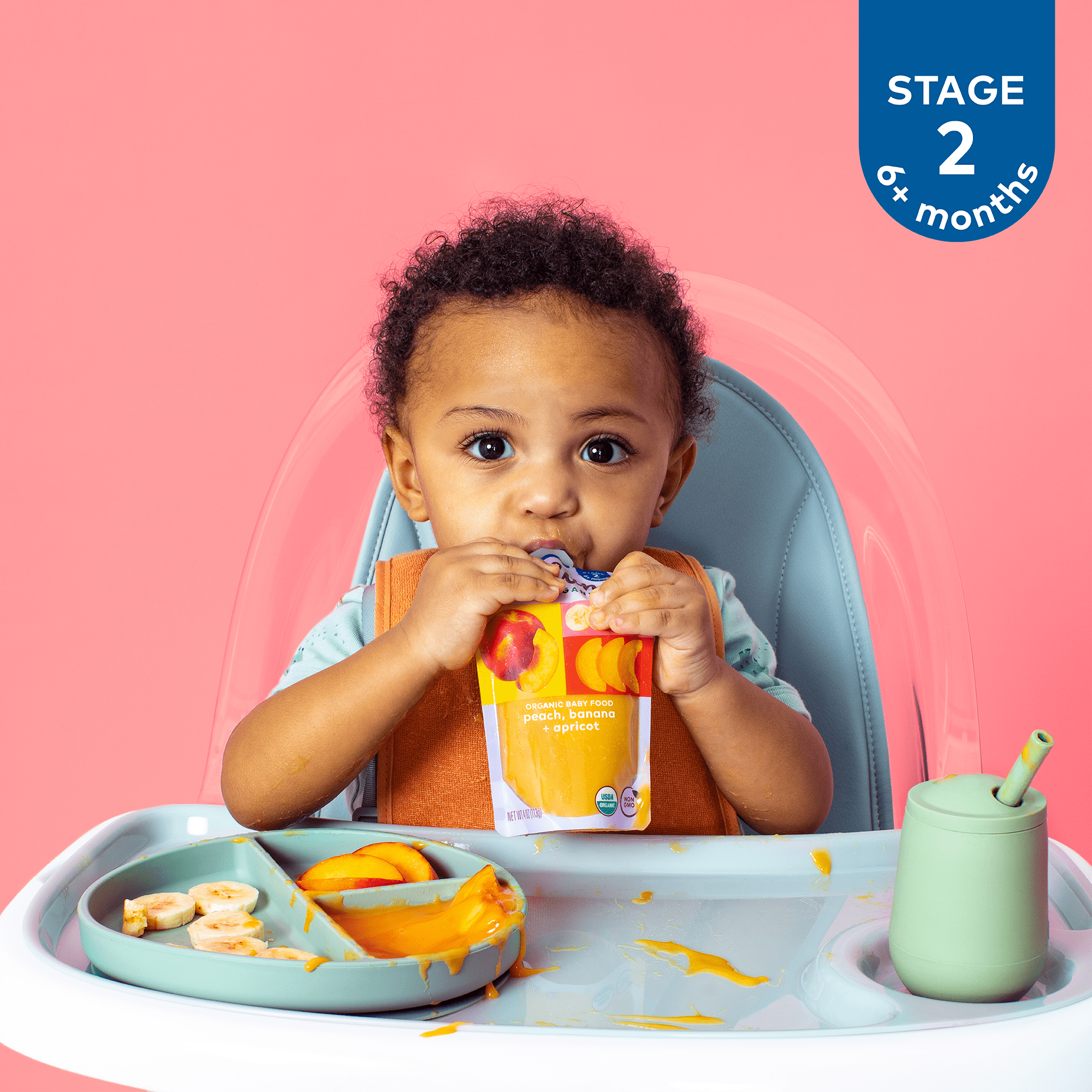 Plum Organics Stage 2 Organic Baby Food Cherry, Apple, Blueberry, Banana, Acai, Kale and Quinoa, 4 oz Pouch - Case of 12
