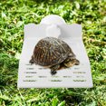 thumbnail image 2 of Plateforme de Détente pour Tortue en Plastique, Terrasse pour Tortue, Conception à Ventouse, Plateforme de Repos pour Tortue, 2 of 8