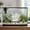 White#158, variant on Aquarium Coral Decoration for Fish Tank – Realistic Artificial Coral Reef Ornament with Weighted Base – Aquarium-Safe Plastic Decor for Freshwater and Saltwater Aquascaping