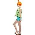 thumbnail image 2 of The Flintstones Pebbles Costume for Adults by Rubies, Women's Small, 2 of 5