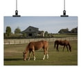 thumbnail image 2 of Print: Rural Alabama In The Spring, 2010, 2 of 4