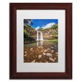 thumbnail image 2 of Trademark Fine Art 'Wailua Falls' Canvas Art by Pierre Leclerc, White Matte, Wood Frame, 2 of 4