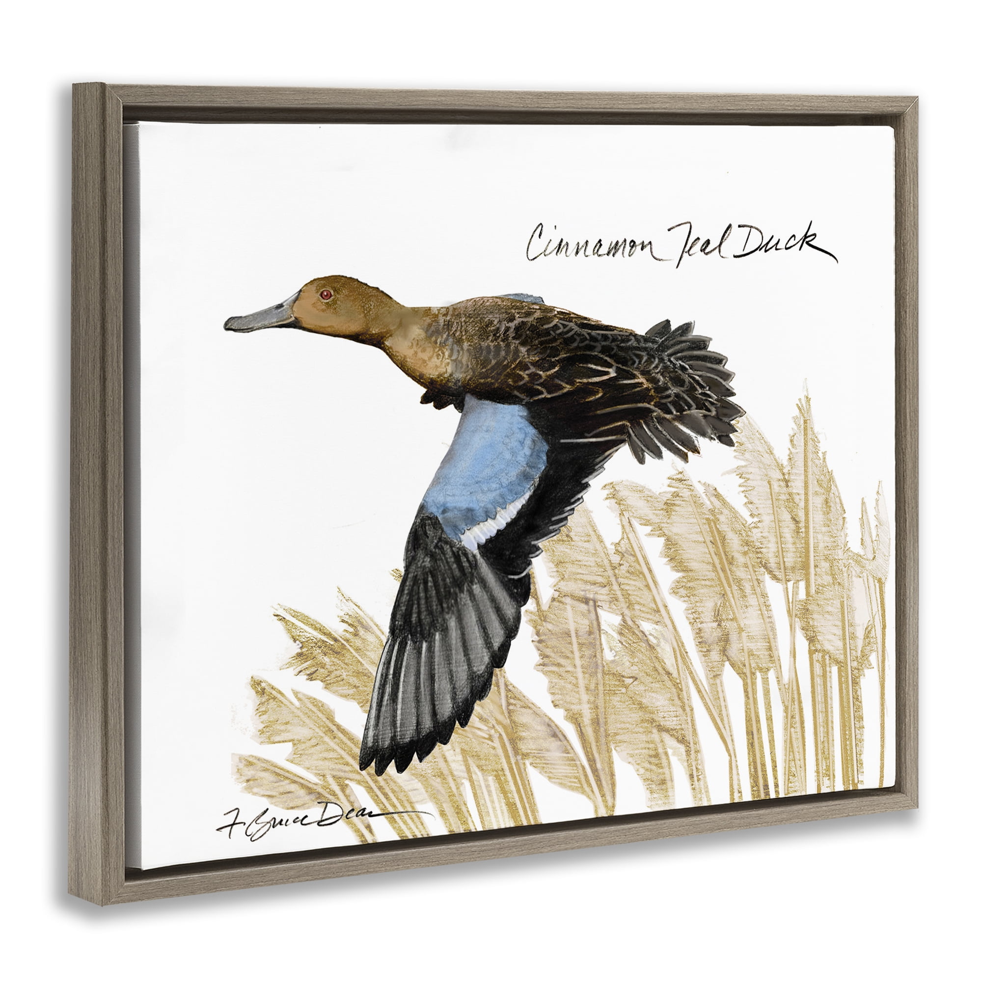 Stupell Industries Cinnamon Teal Duck Flying Animals & Insects Painting Brown Floater Framed Canvas Art Print Wall Art, 21 x 17