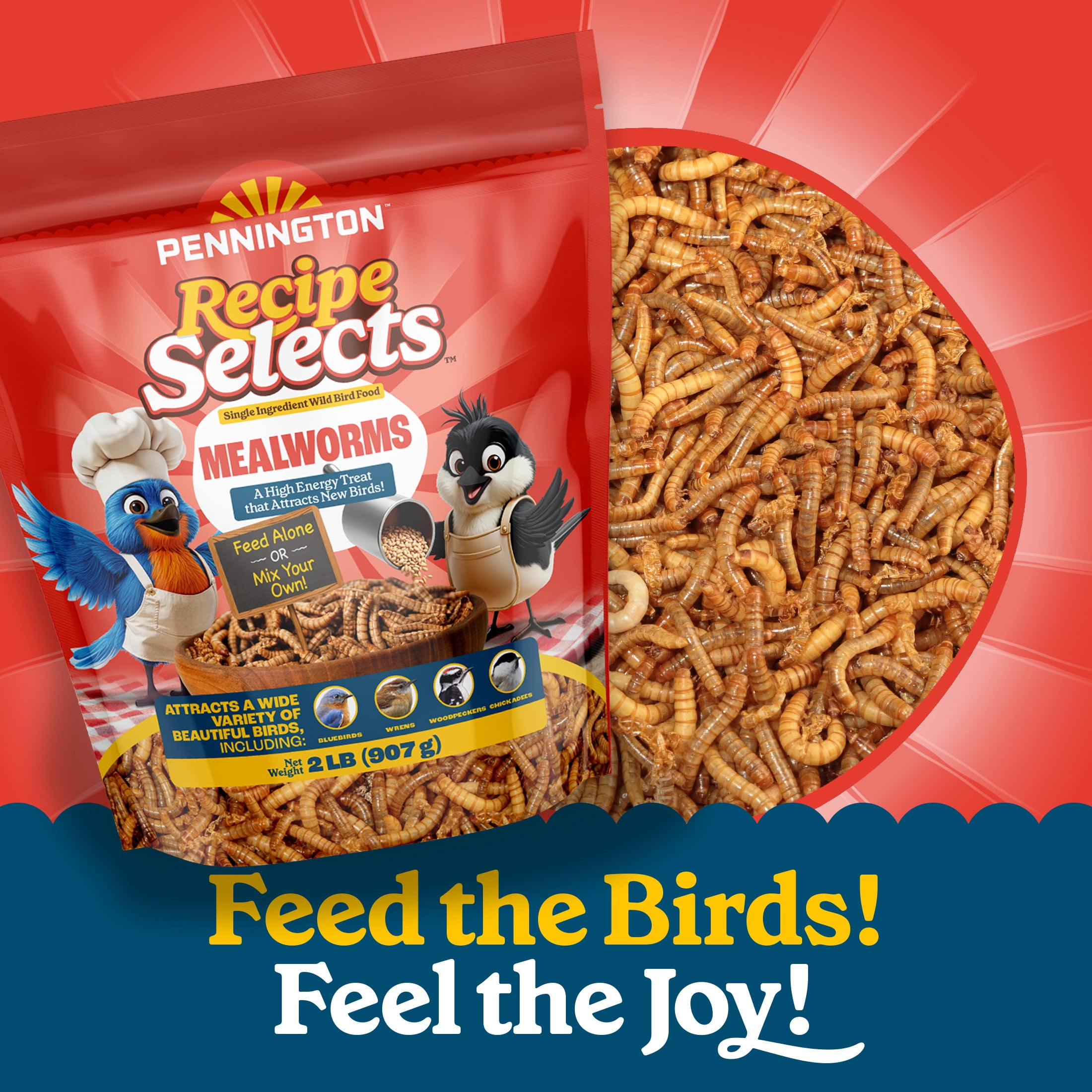 Pennington Recipe Selects Dried Mealworms for Birds, Bluebird and Wild Bird Food for Outside Feeder, 2 lb. Bag, 1 Pack