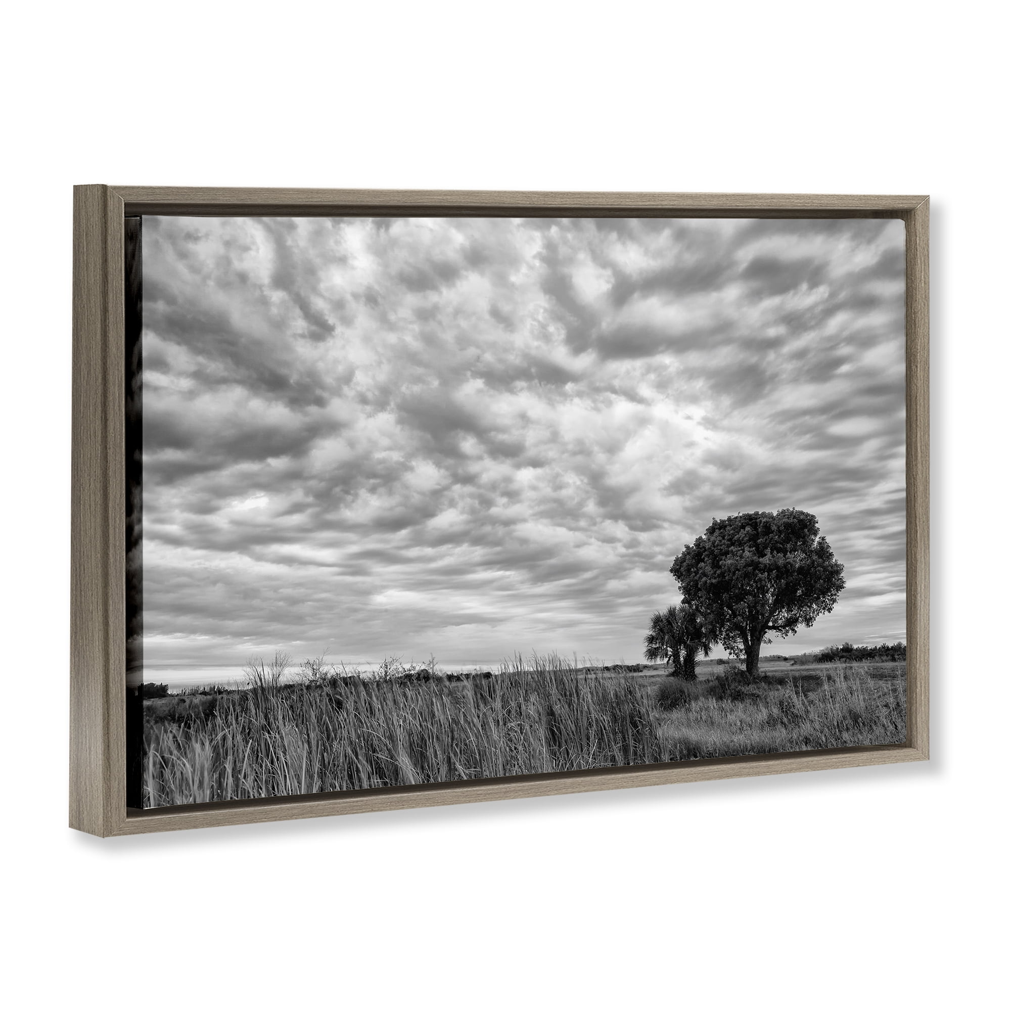 Stupell Industries Solitary Tree Beneath Clouds Brown Framed Floater Canvas Wall Art, design by Jon Evan