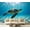 Color 3, variant on Wall Mural Peel and Stick Happy Border Collie Puppy Jumping Blue Sky Fluffy Fur Playful Outdoor Self-Adhesive Wallpaper Removable Wall Decal Wall Sticker Home Decor for Living Room Bedroom 100"x144"