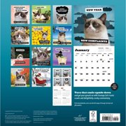Grumpy Cat 2026 Wall Calendar, (Paperback)