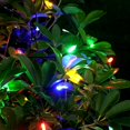 thumbnail image 3 of Battery Operated Christmas Lights 2 Pack 18 Ft 50 Count Clear Mini String Lights Battery Powered with 6 hour timer Xmas Tree Lights Outdoor Waterproof for Indoor Party Festival Decorations (2PC;50LED), 3 of 7