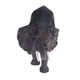 thumbnail image 5 of Modelo de animal salvaje, modelo de animal salvaje, modelo de animal vívido, juguetes, figura de animal vívido, probado y confiable, 5 of 9