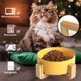 thumbnail image 3 of Cuenco para perros, cuenco de comida, cuenco de alimentación para perros y gatos con soporte, 3 of 6