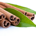 thumbnail image 3 of Mainstays 100% Pure Cinnamon Leaf Essential Oil, 15mL, 1 Pack, 3 of 5