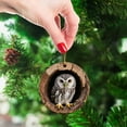 thumbnail image 4 of geerera 2D Acrylic Owl Ornament, Tree Hole Animals Christmas Decor, Hanging Holiday Pendant, for Christmas Tree Holiday Party Gifts Decoration, 4 of 9
