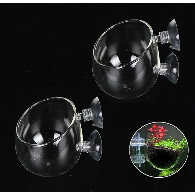 Soporte para maceta de cristal para plantas acuáticas, tanque de acuario, maceta de cristal para plantas vivas, soporte para camarones rojos con 2 ventosas, decoración de acuario Aquascape, paque