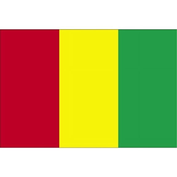 Annin Flagmakers 193240 5 ft. X 8 ft. Nyl-Glo Guinea Flag