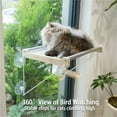 thumbnail image 6 of Cat Window Perch, Foldable Cat Hammock for Window, Stable Window Shelves for Indoor Cats, Set Includes 2 Pack of Window Stairs, 6 of 6