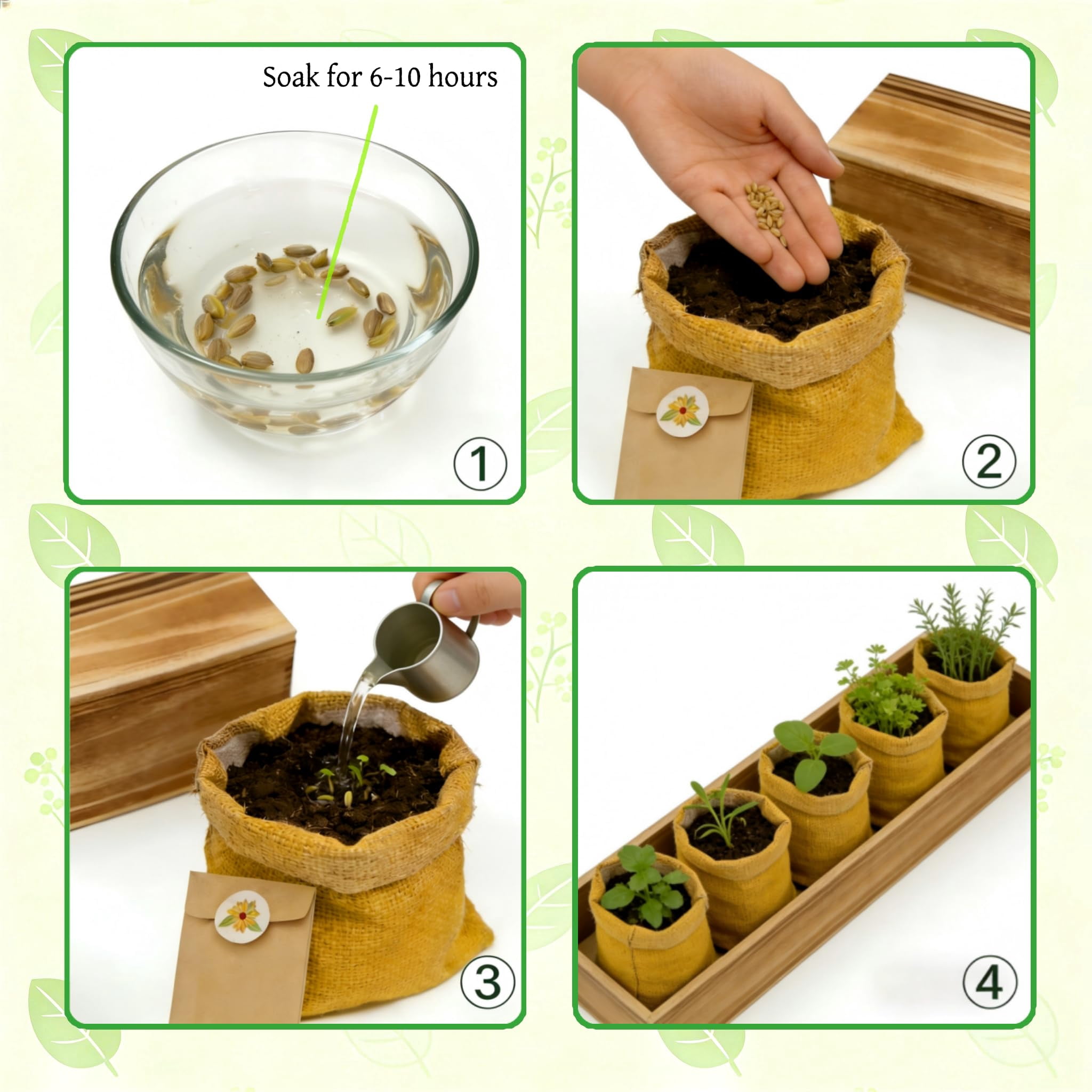 Herb Garden Kit with Wooden Box – Includes Basil, Thyme, Parsley, Rosemary & Mint – Windowsill Herb Garden for Kitchen – Gardening Gift for Mom, Women, Men