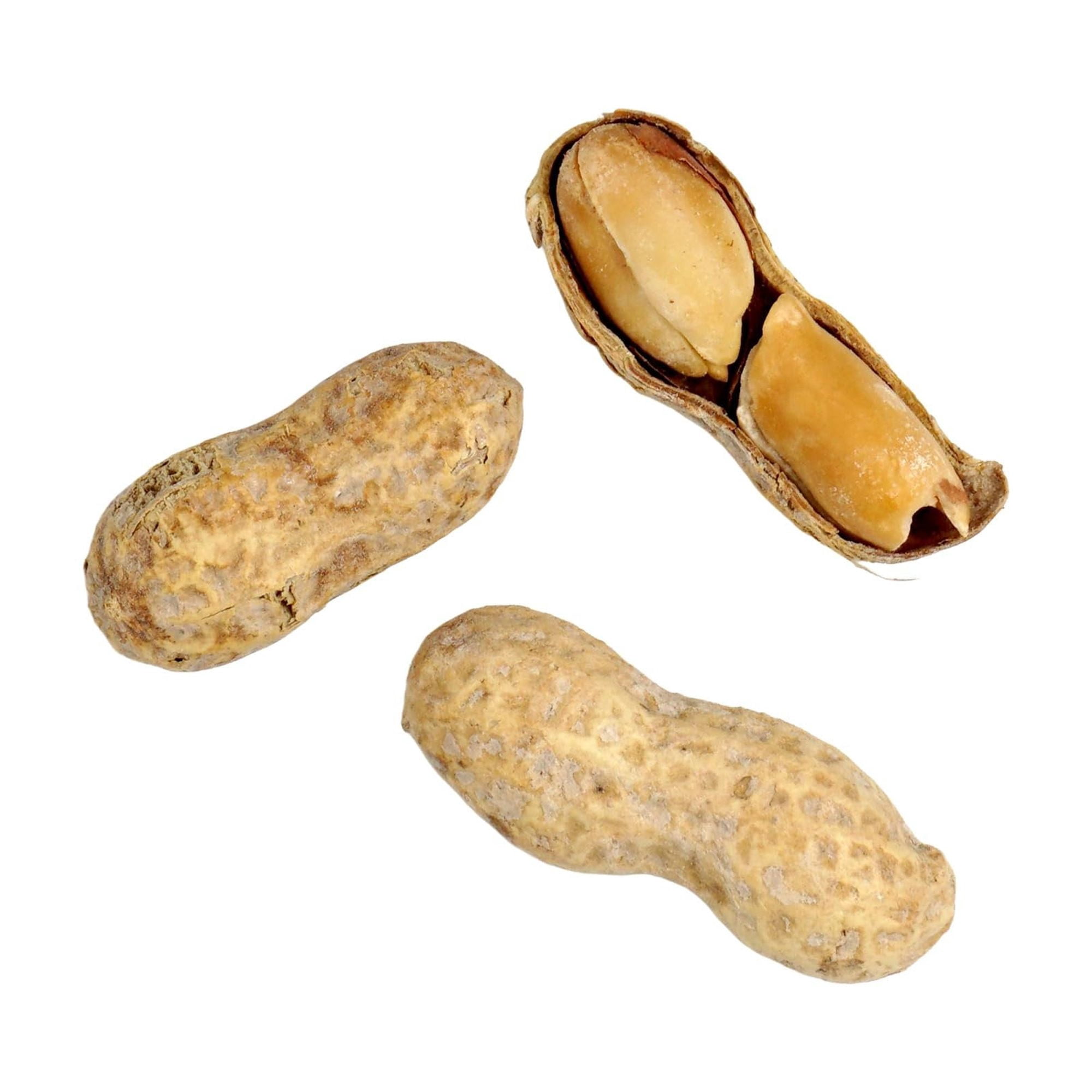 Peanuts In Shell Roasted and Salted, 10 Pound Bag, The Hampton Popcorn & Candy Company
