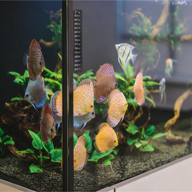 ADDHAT 10Ud Termómetro Adhesivo Para De Peces Compatible Con Acuarios Y Terrarios Multicolor