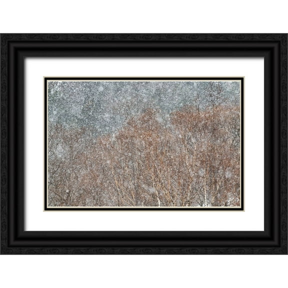 Swapnil 14x11 Black Ornate Wood Framed with Double Matting Museum Art Print Titled - snowstorm