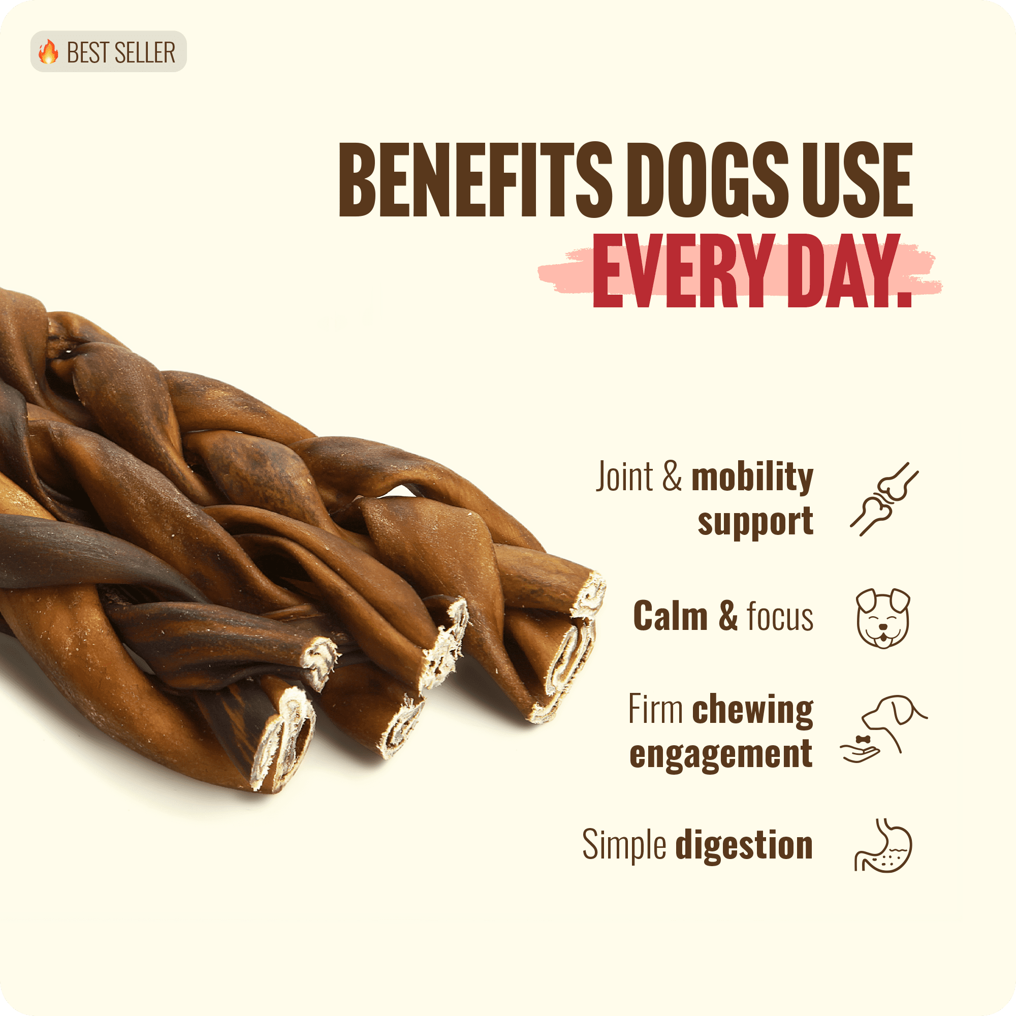 Natural Farm Braided Collagen Chews for Dogs (6 Inch, 10 Pack), Collagen Sticks, Natural Dog Chews, Long Lasting, for Small, Medium and Large Dogs, Odor-Free, Rawhide Alternative
