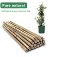 thumbnail image 3 of Plant Stakes,18 Inch Natural Garden Bamboo Sticks, 20Pcs Plant Support Stakes for Tomatoes,Beans,Vegetable and Potted Plants(Width 0.23”-0.4"), 3 of 8