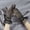 Black Lace, variant on Lace Wedding Gloves with Elastic and Hollow-out Design for Brides